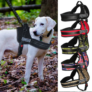 No Pulling Dog Training Harness