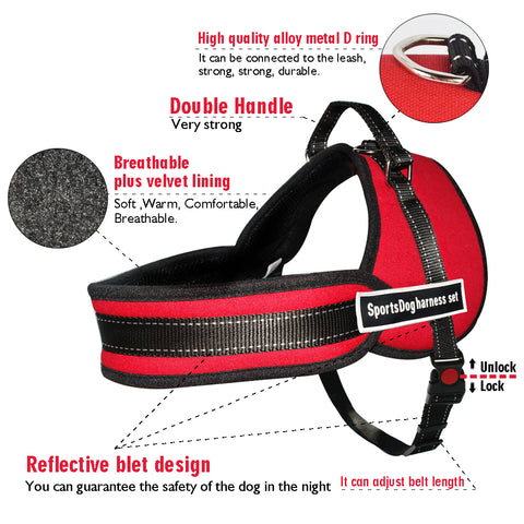 Image of No Pulling Dog Training Harness