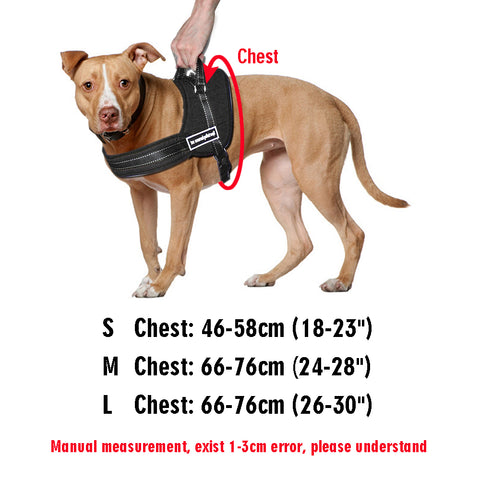 Image of No Pulling Dog Training Harness