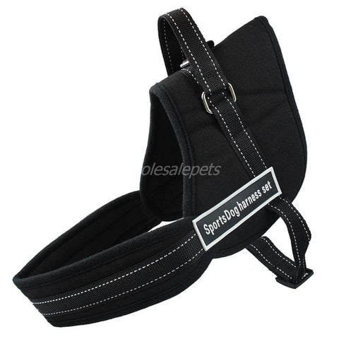 Image of No Pulling Dog Training Harness