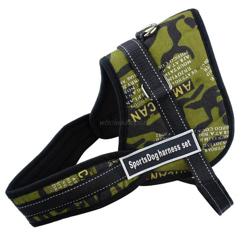 Image of No Pulling Dog Training Harness