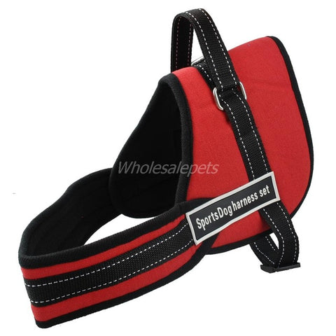 Image of No Pulling Dog Training Harness